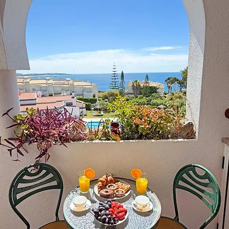 Palmtree Ocean View By Becherish Apartment